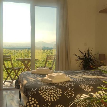 Thalassa Seaside Boutique Beach Apartment Polis Exteriér fotografie
