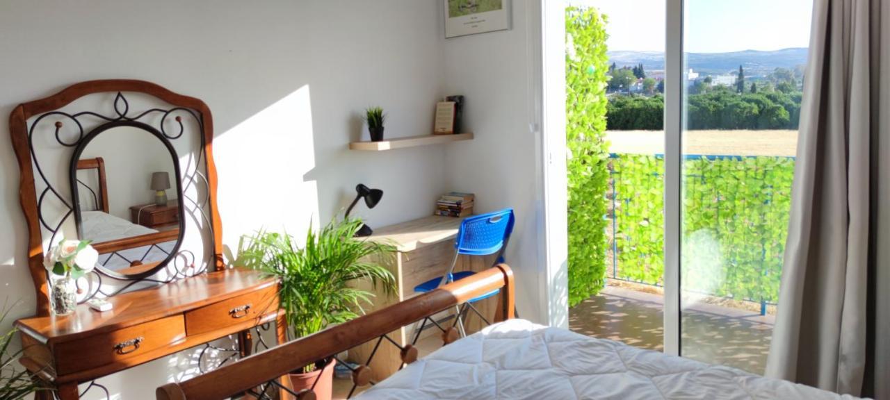 Thalassa Seaside Boutique Beach Apartment Polis Exteriér fotografie