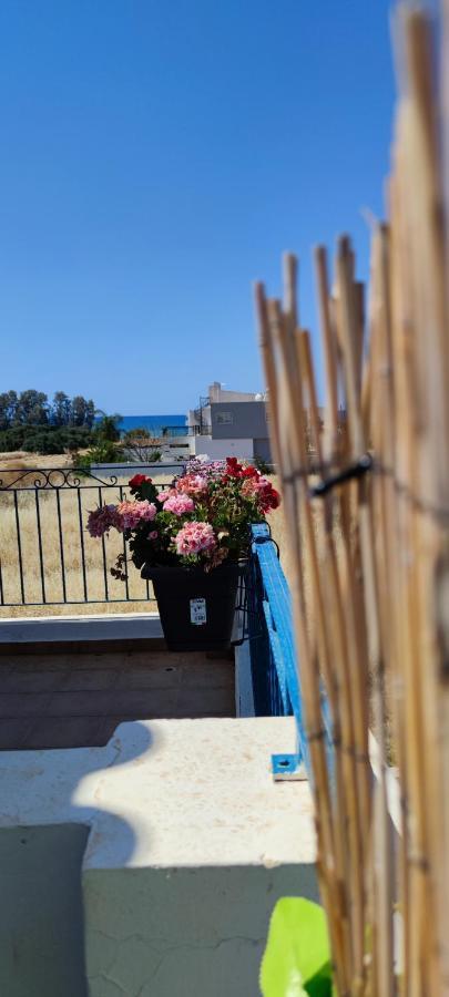 Thalassa Seaside Boutique Beach Apartment Polis Exteriér fotografie