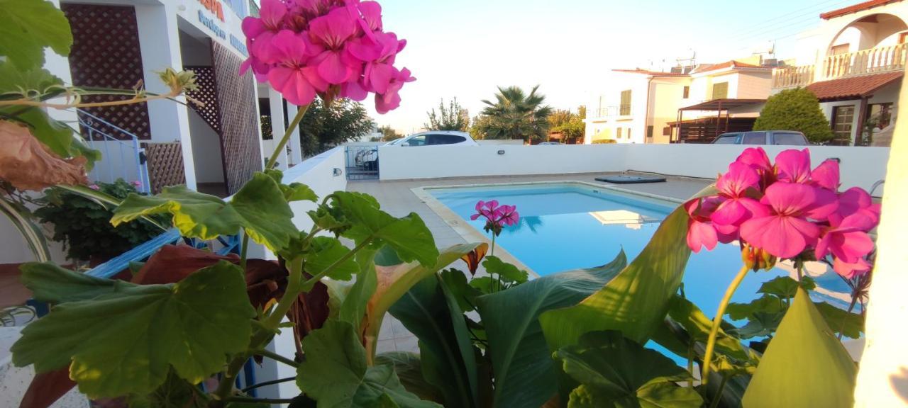 Thalassa Seaside Boutique Beach Apartment Polis Exteriér fotografie